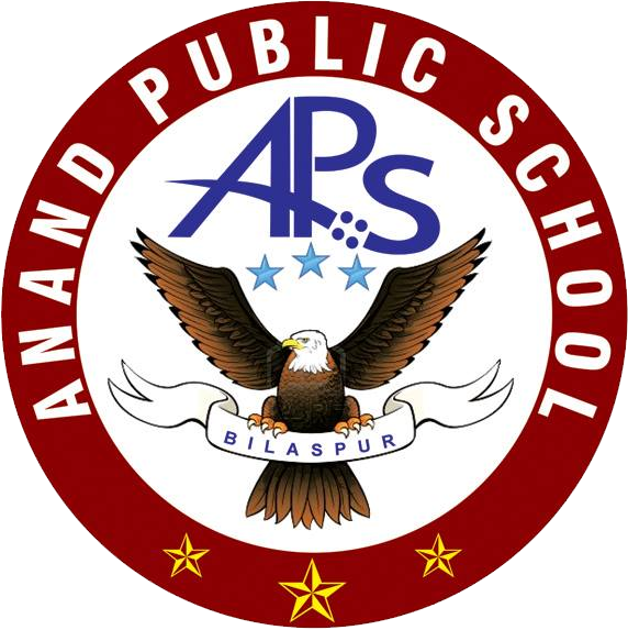 Anand Public School